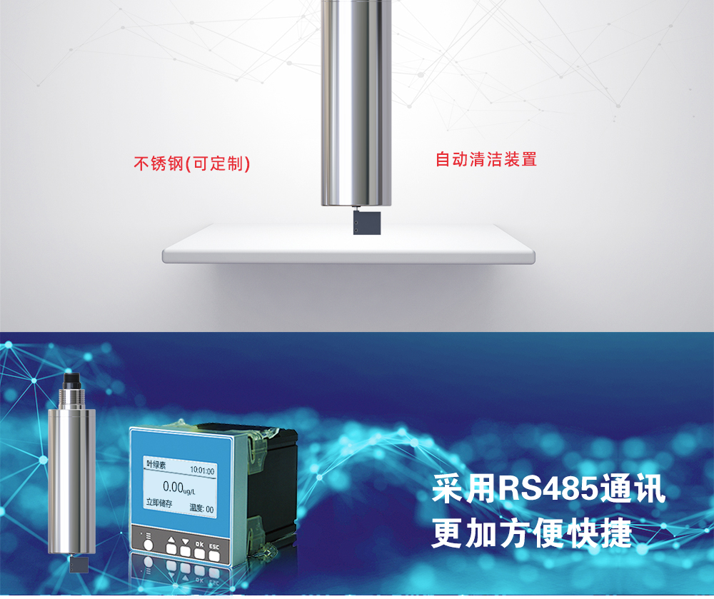 叶绿素_04.jpg