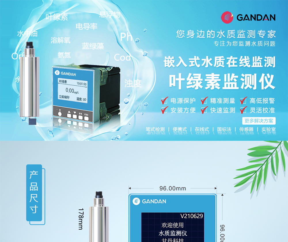 叶绿素_01.jpg