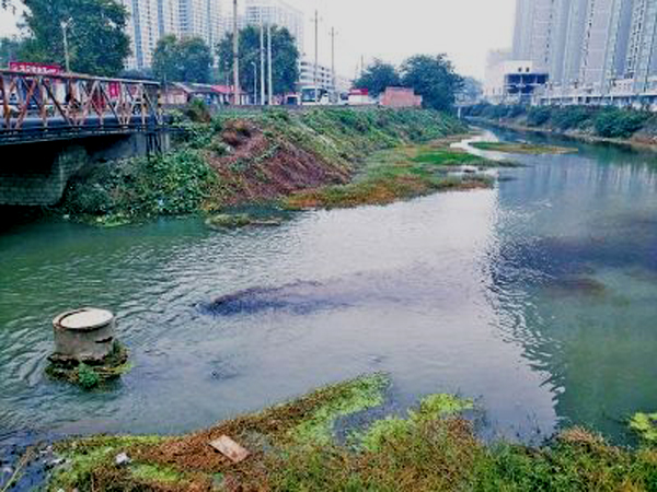 河流水质监测及污染解决方案 (1).jpg
