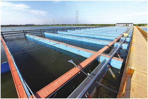 水产养殖水质监测解决方案