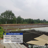 吉安县良兴鳗鱼养殖场-4.jpg