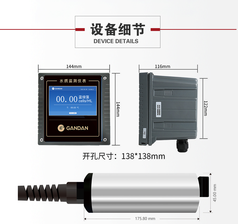 蓝绿藻_07.jpg