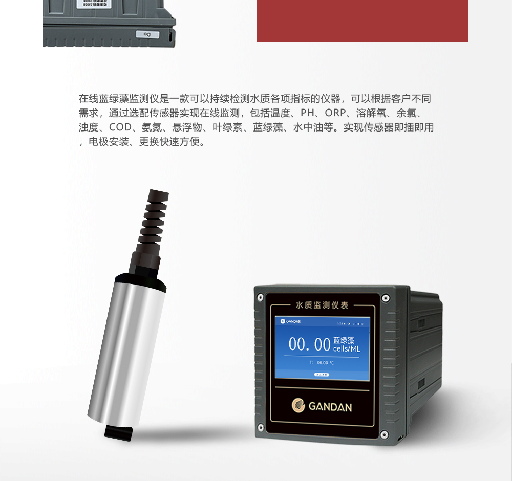 蓝绿藻_09.jpg
