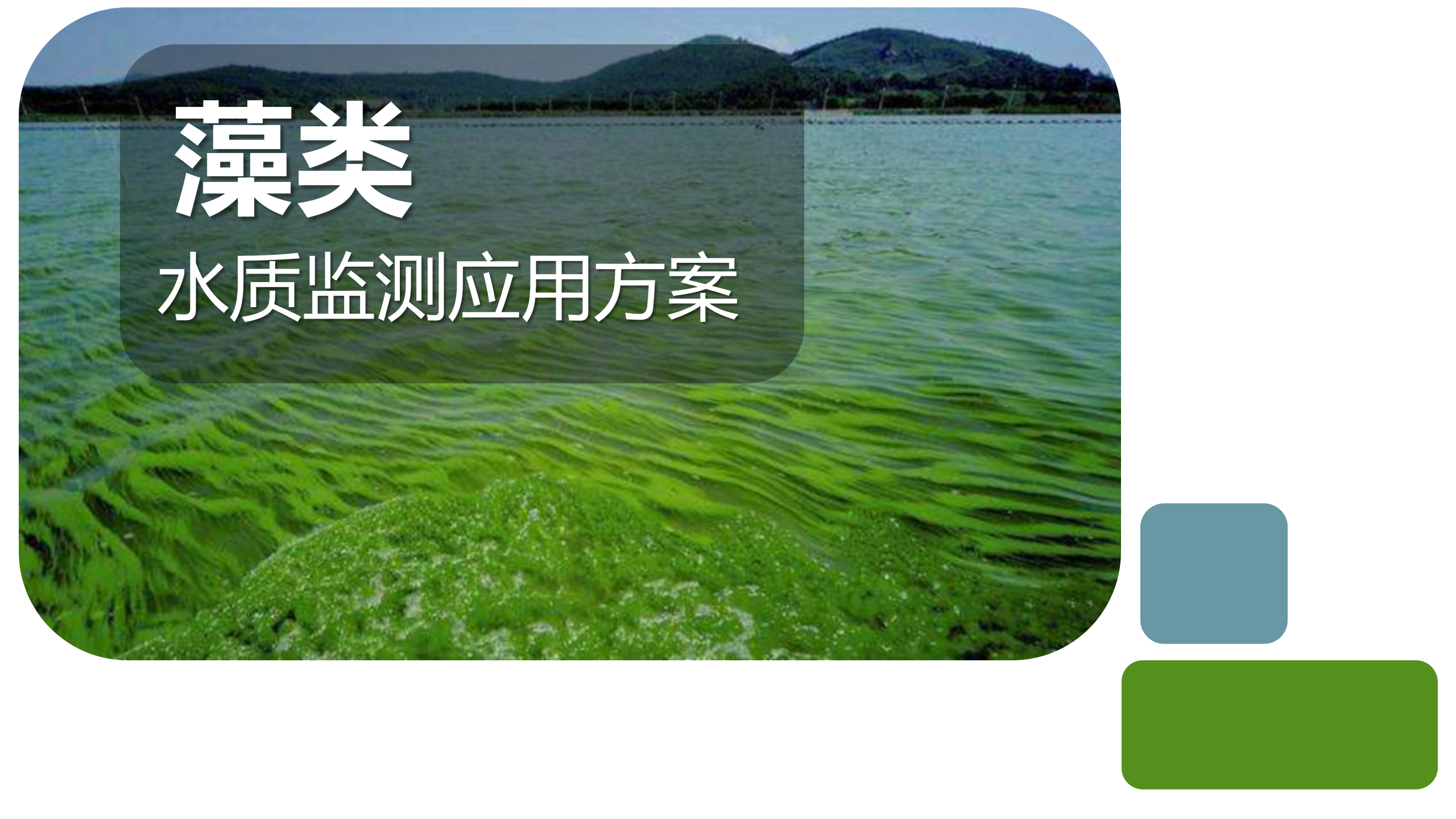 藻类水质在线监测应用方案